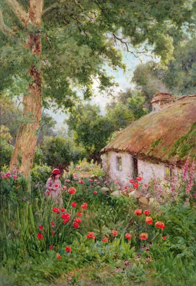 Ein Cottage-Garten von Tom Clough